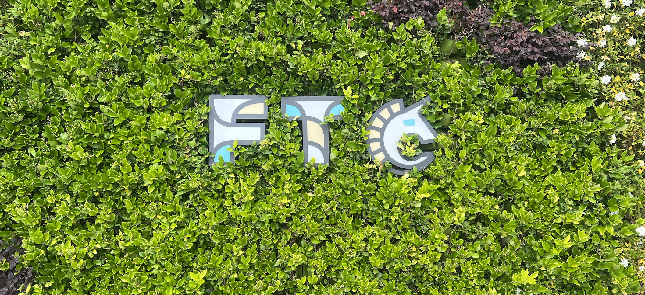 外滩FTC 实习遗留的开源平台