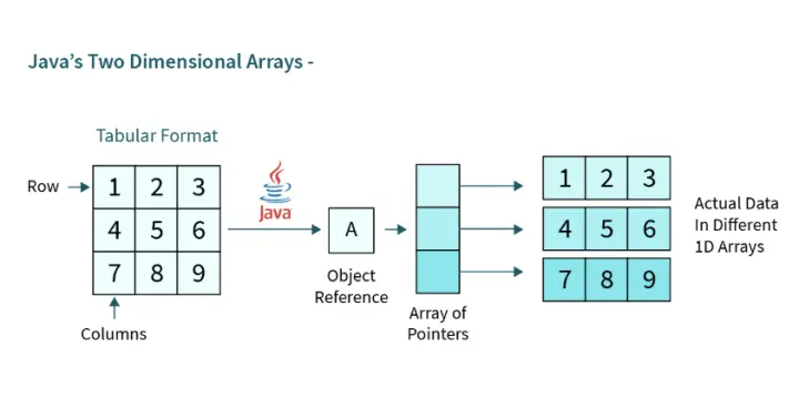 💻 CSC1003 Assignment2 二维数组
